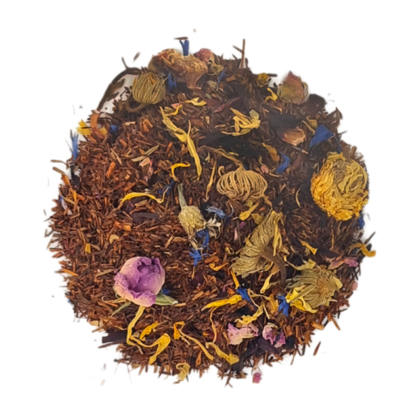 Rooibos fleuri